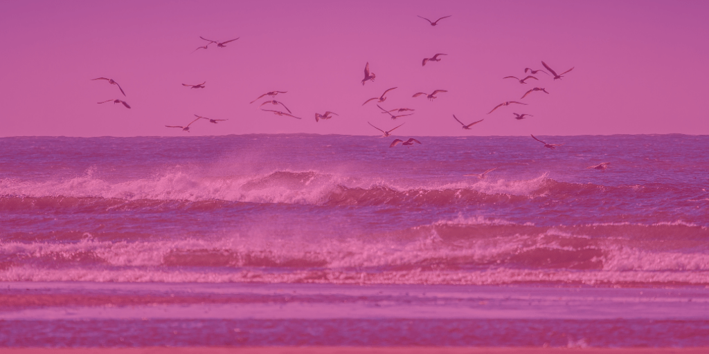 Help to Buy Southampton Help to Buy Properties & Houses For Sale