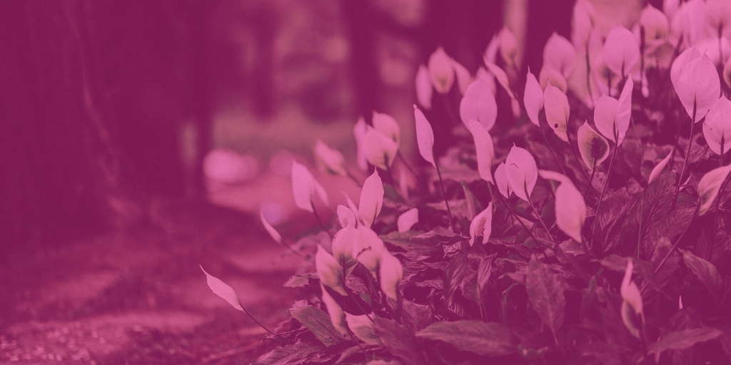 Shared Ownership West Midlands Shared Ownership Properties For Sale