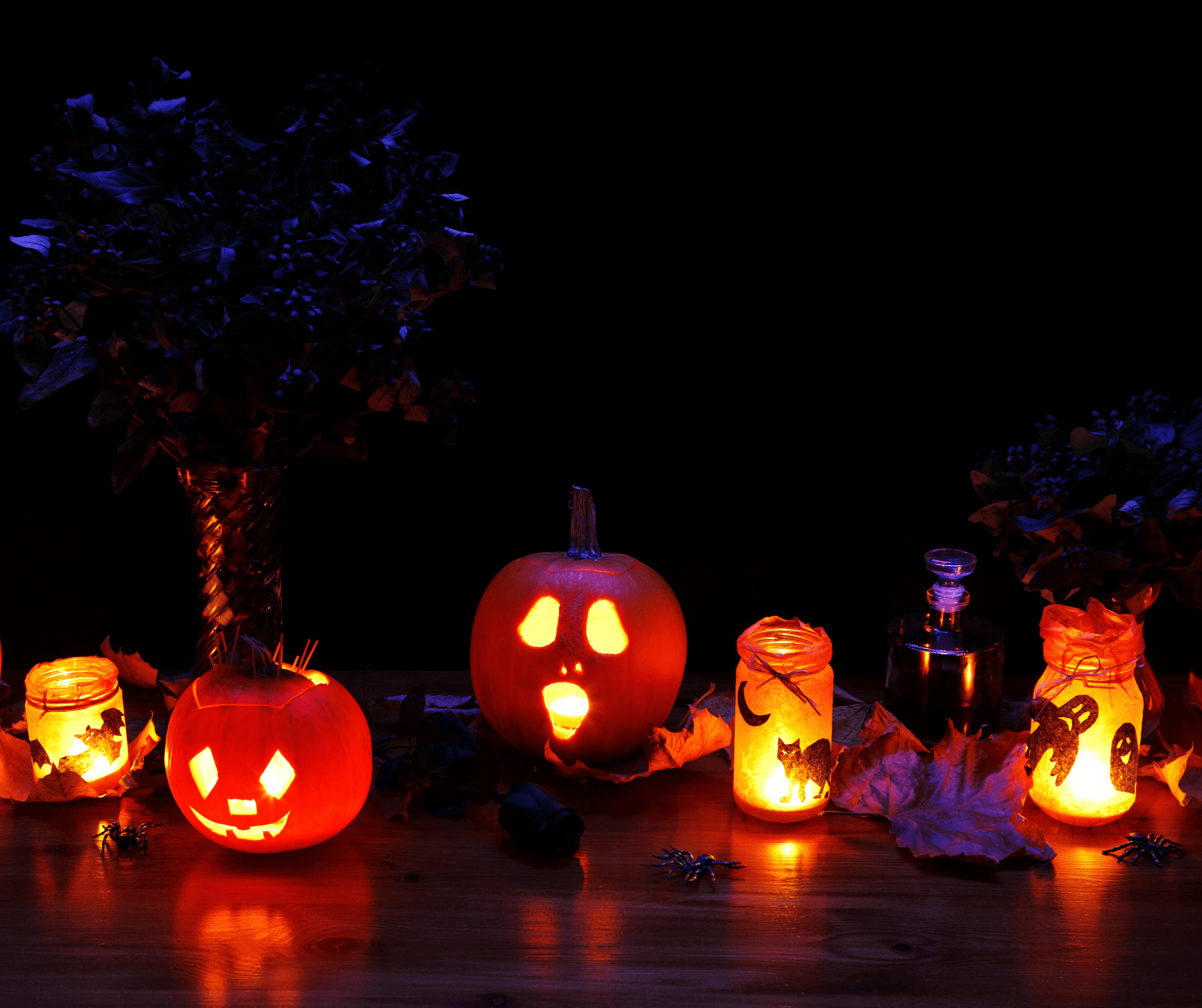 A stock image of Halloween decor - start your search on Share to Buy today!