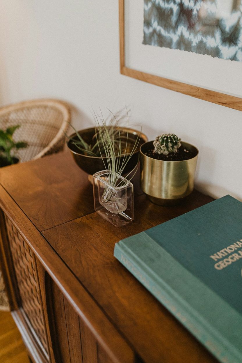 Image of a side table with book and house plant