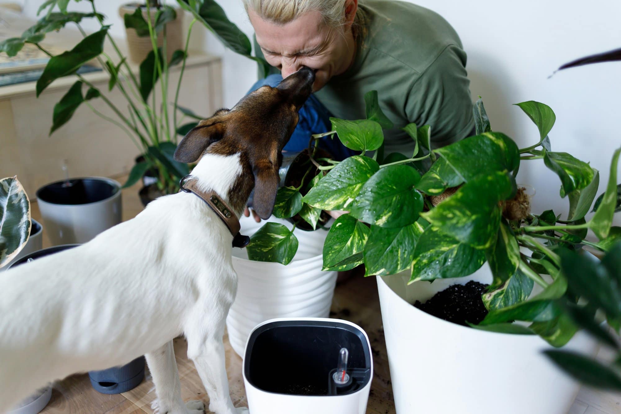 Image of a man with his dog