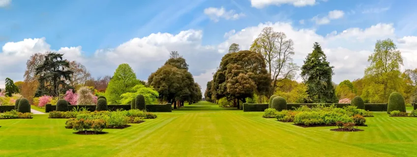 Garden space in london with lawn and trees