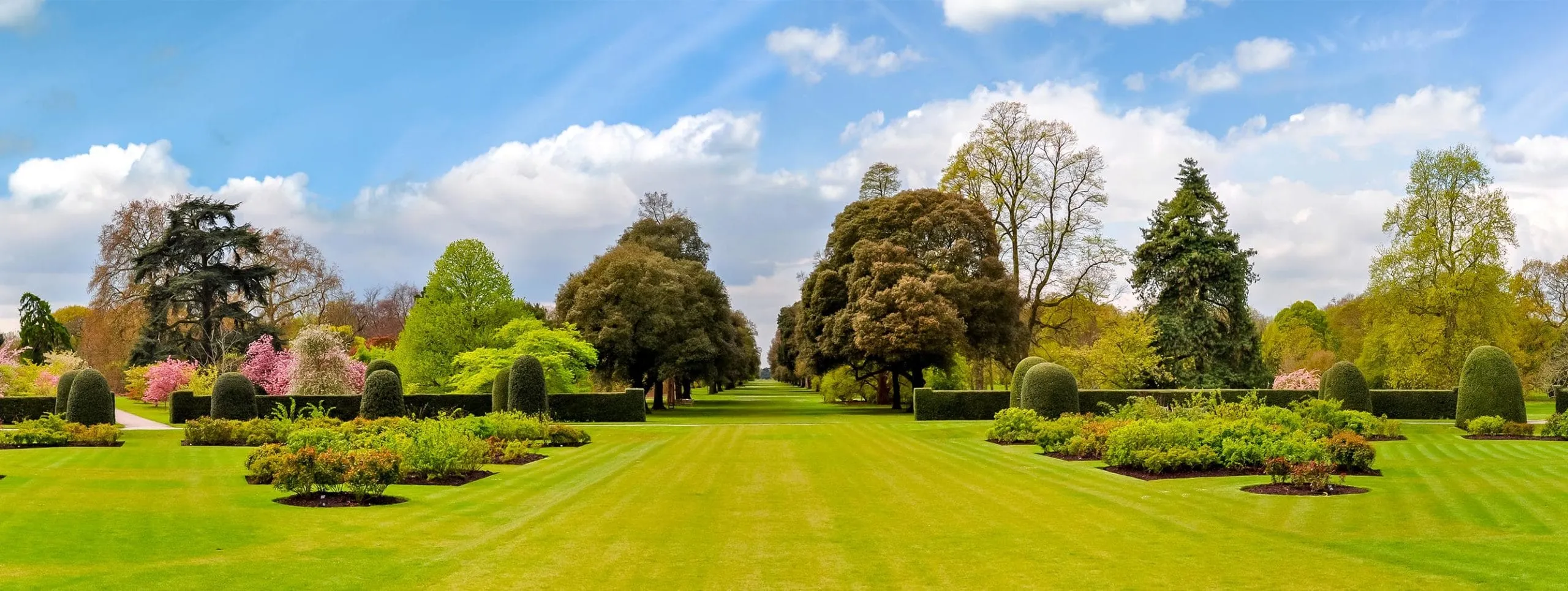 Garden space in london with lawn and trees