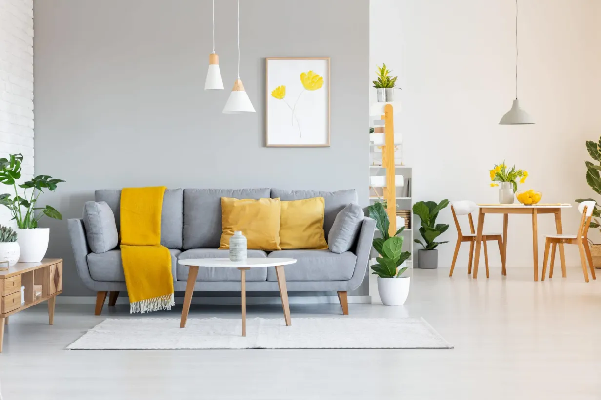 Modern living room and dining room with grey sofa