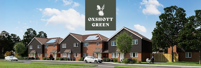 PA Housing Oxshott Green 17/01/25