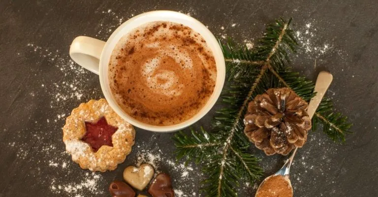 mug of hot chocolate with a jammy dodger biscuit plus fern and pine cone