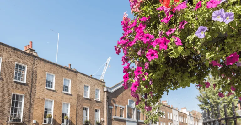 outside view of houses with basket of pink flowers