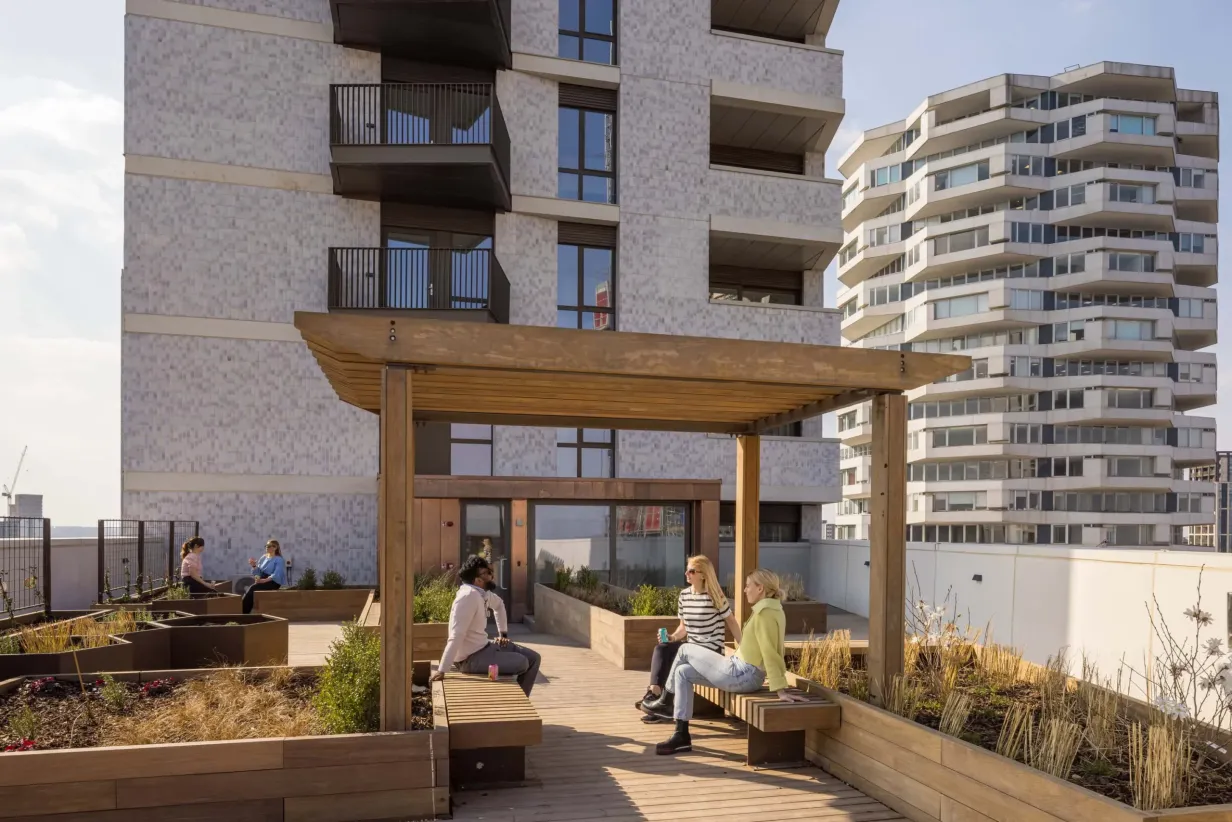 Pocket Living Apartments rooftop